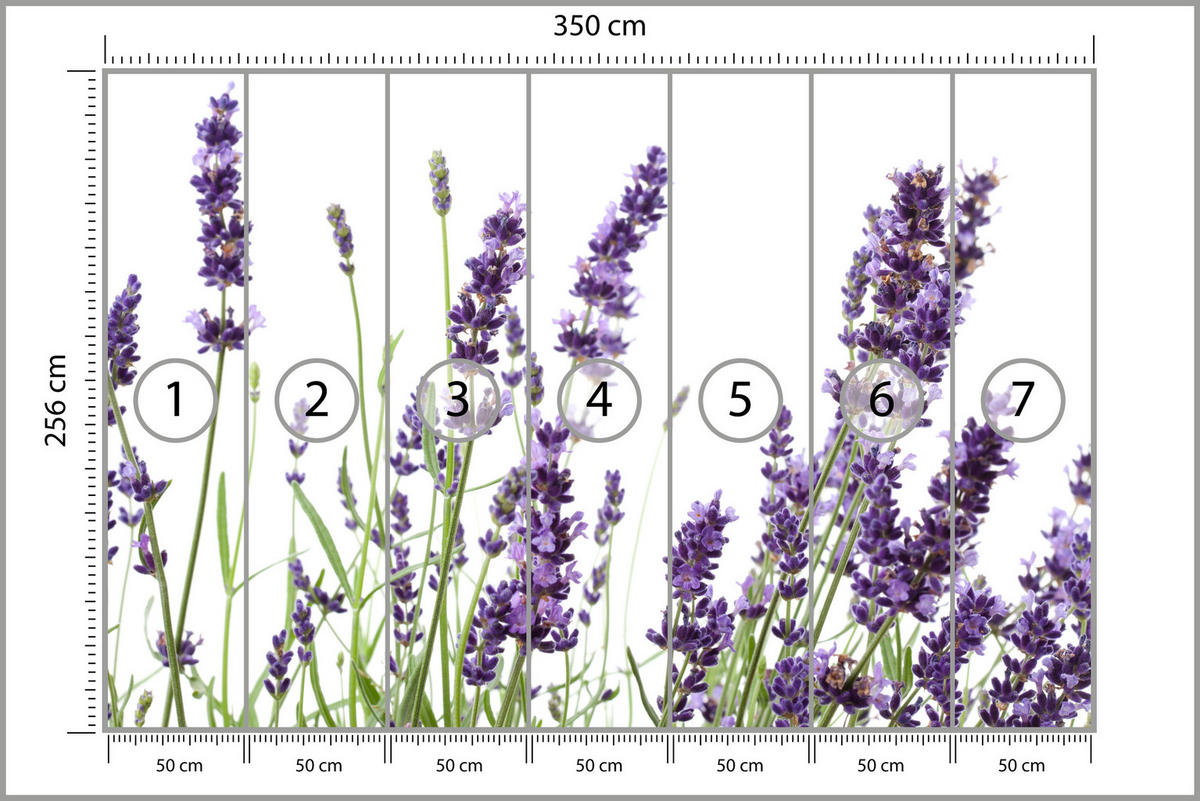FOTOTAPETE für Küche Lavendelblüten Weißer Hintergrund 350x256 - Violett/Lila, Papier (350/256cm) - Muralo