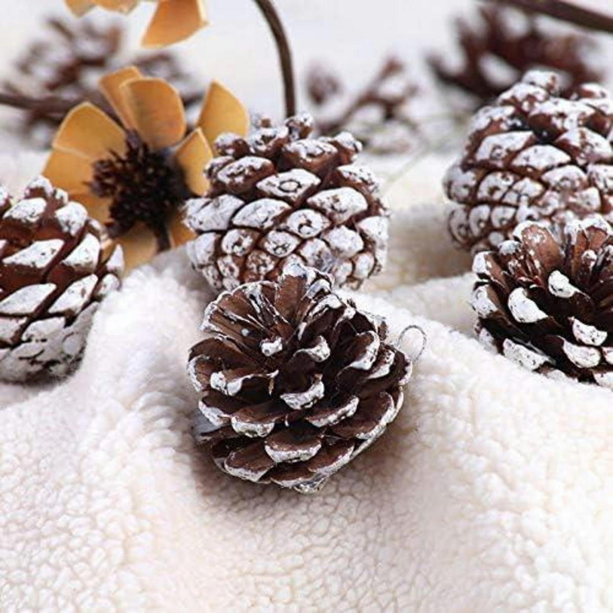 TANNENZAPFEN 48-teiliges Set mit Schnee-Effekt - Braun, Naturmaterialen (3/3/3cm)