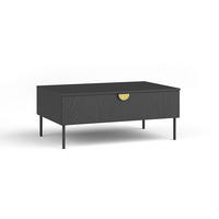 COUCHTISCH Mond anthrazit 100 / 66 / 41cm - Anthrazit/Goldfarben, Holz/Holzwerkstoff (66/100/41cm) - Feldmann-Wohnen
