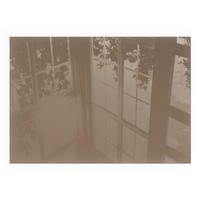 GLASPLATTE für Kamin 100x70 cm - Braun, Glas (100/70/0.4cm) - TULUP