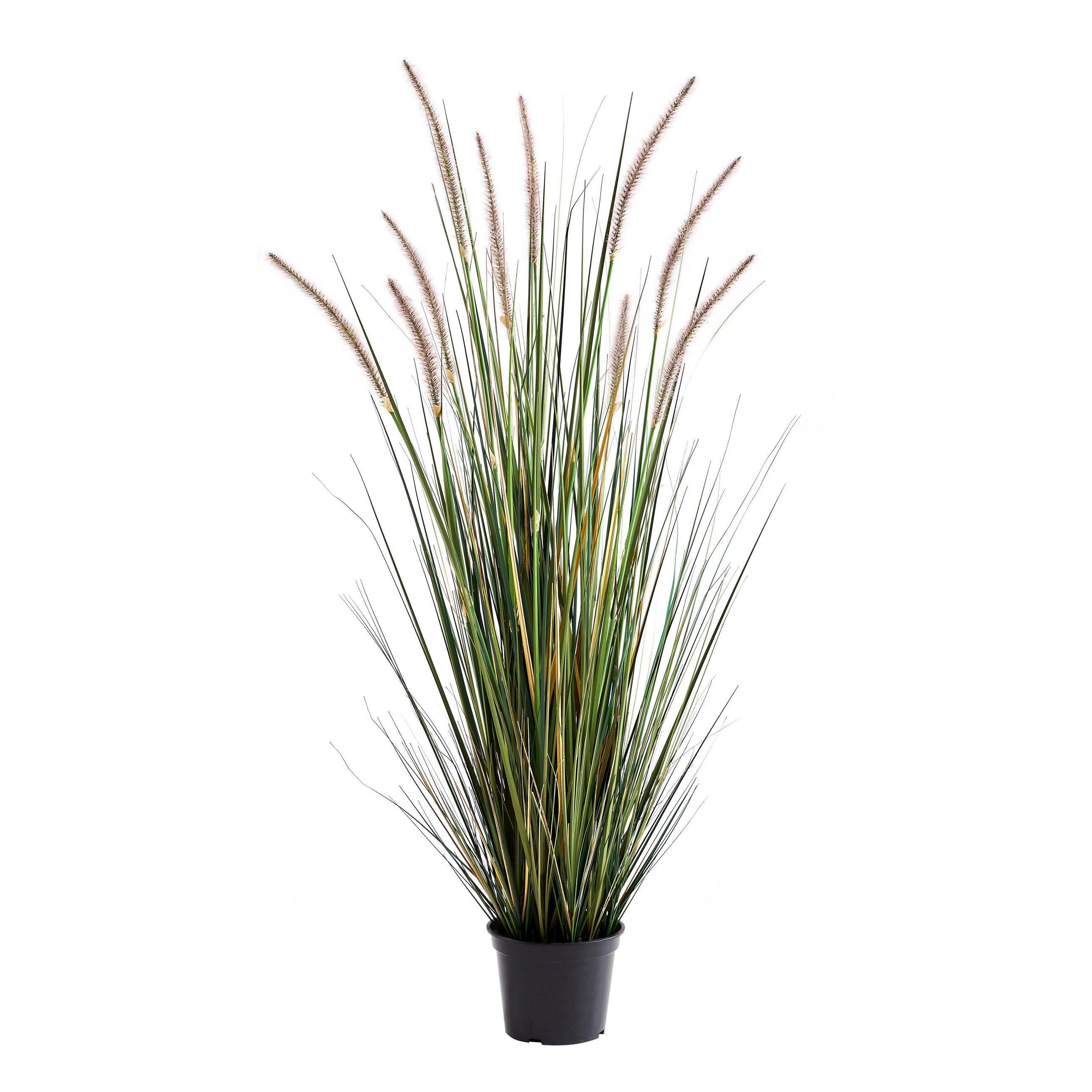 KUNSTPFLANZE Künstliches Lampenputzergras – Leontina 122 cm - Grün, Kunststoff (122cm) - aplanta