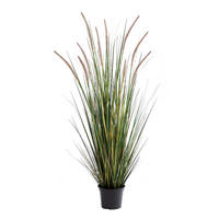 KUNSTPFLANZE Künstliches Lampenputzergras – Leontina 122 cm - Grün, Kunststoff (122cm) - aplanta