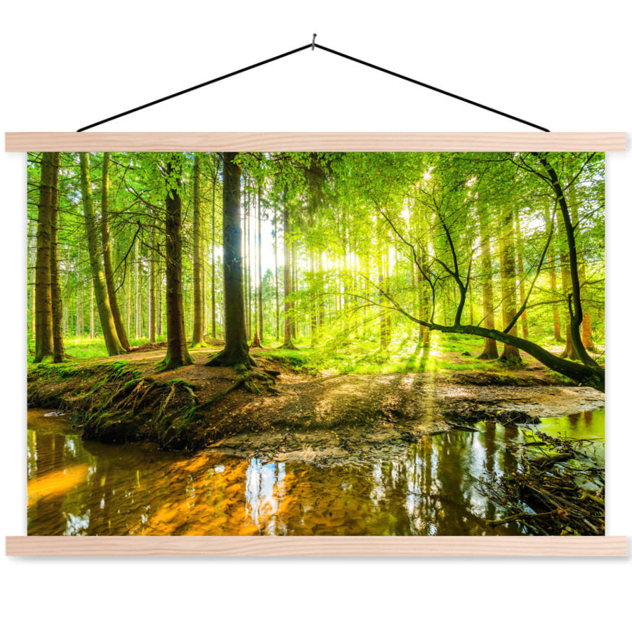 POSTER Wald - Landschaft - Wasser - Bäume - Sonne - Grün - Natur 60x40 cm - Grün, Textil (60/40/0.15cm) - MuchoWow