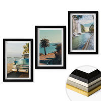 WANDBILDER 3er-Set - 20x30 cm Schwarzer Rahmen - Urlaub Palmen Wasserfall - Schwarz, Kunststoff (20/30cm) - ArtPrintCave