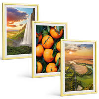 BILDER SET 3er Set - 40x60 cm Goldrahmen - Orange Mountain Wasserfall - Goldfarben, Kunststoff (40/60cm) - TULUP