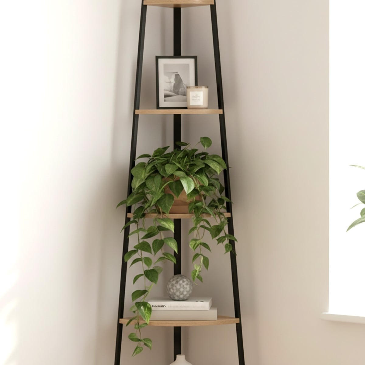 ECKREGAL mit 5 Etagen im Holzdekor H180 cm - Colorado - Schwarz, Holzwerkstoff (36/180/184cm) - Calicosy