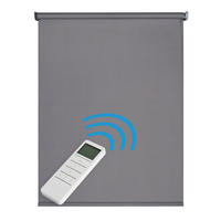 VERDUNKELUNGSROLLO motorisierte Grau 100x250 cm - Grau, Kunststoff (100/250cm) - STORESDECO