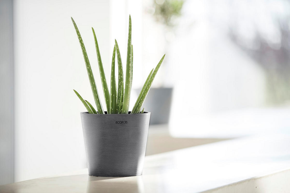 BLUMENTOPF Amsterdam 17/14,7 cm Grau - Grau, Kunststoff (17/14.7cm) - Ecopots
