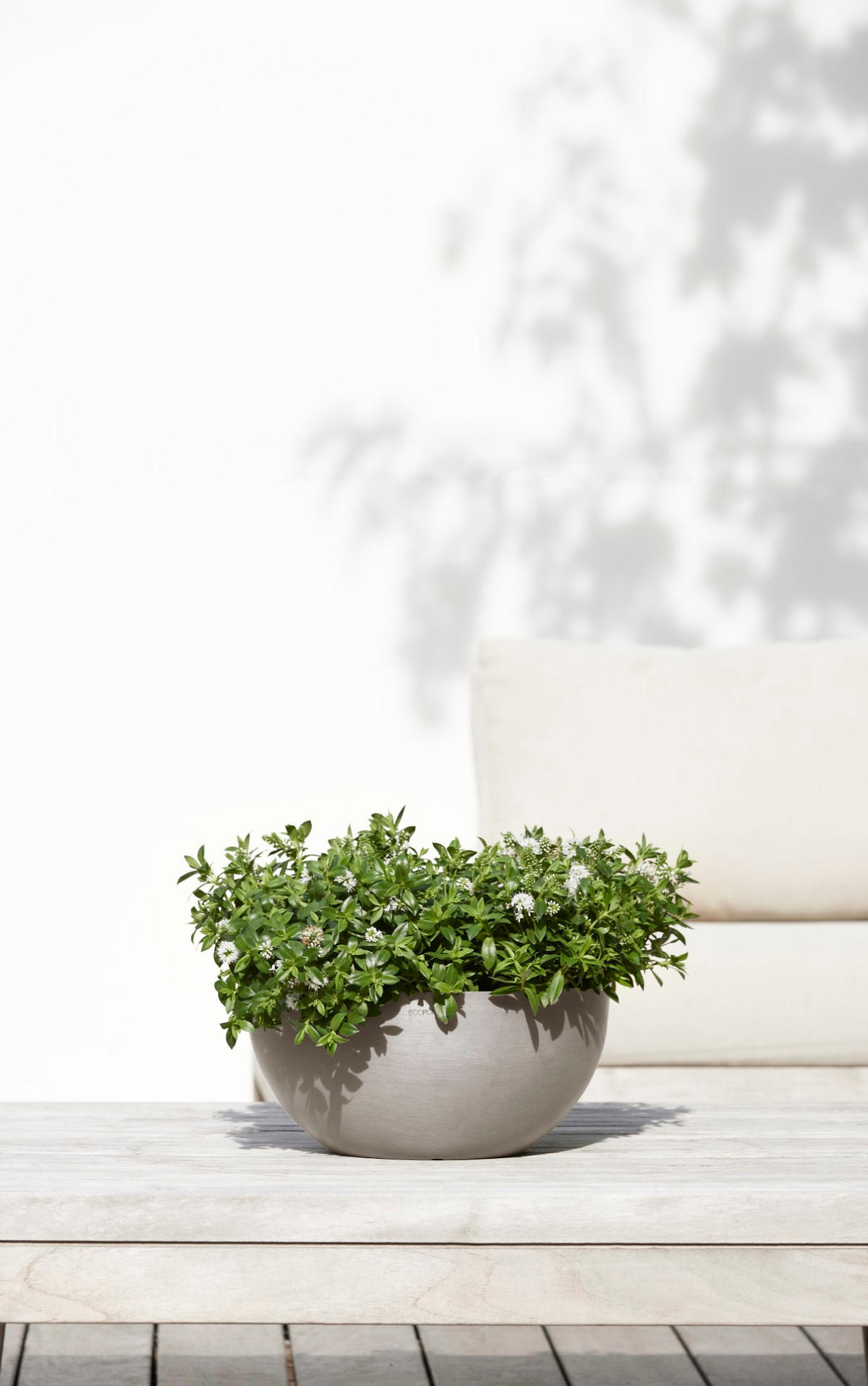 BLUMENTOPF Brussels 30/14,8 cm Taupe - Taupe, Kunststoff (30/14.8cm) - Ecopots