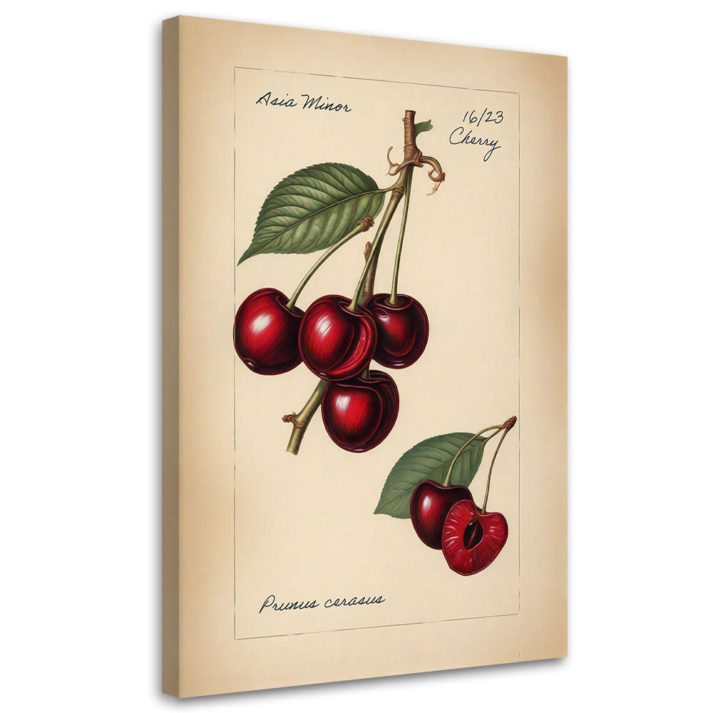 WANDBILD vintage obst kirsche - Beige, Textil (40/60cm) - Feeby