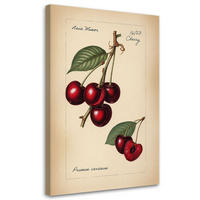 WANDBILD vintage obst kirsche - Beige, Textil (40/60cm) - Feeby