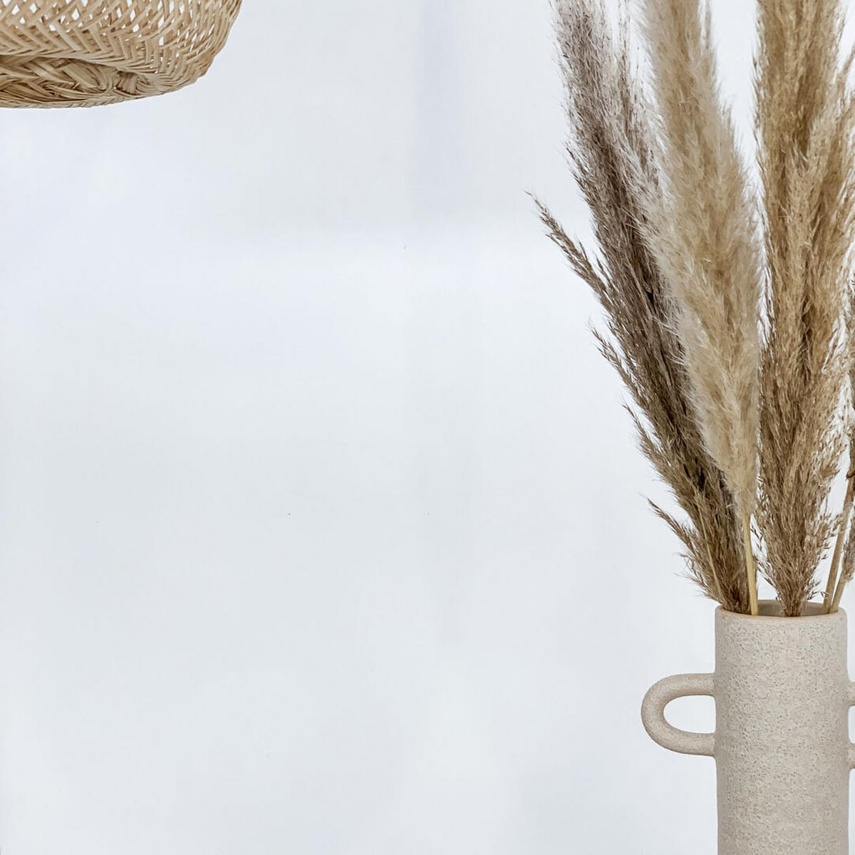 PAMPASGRAS beige natur | für Tischvase - beige / 60 cm / 1 Bund - Beige, Naturmaterialien (60cm) - Lykke & You