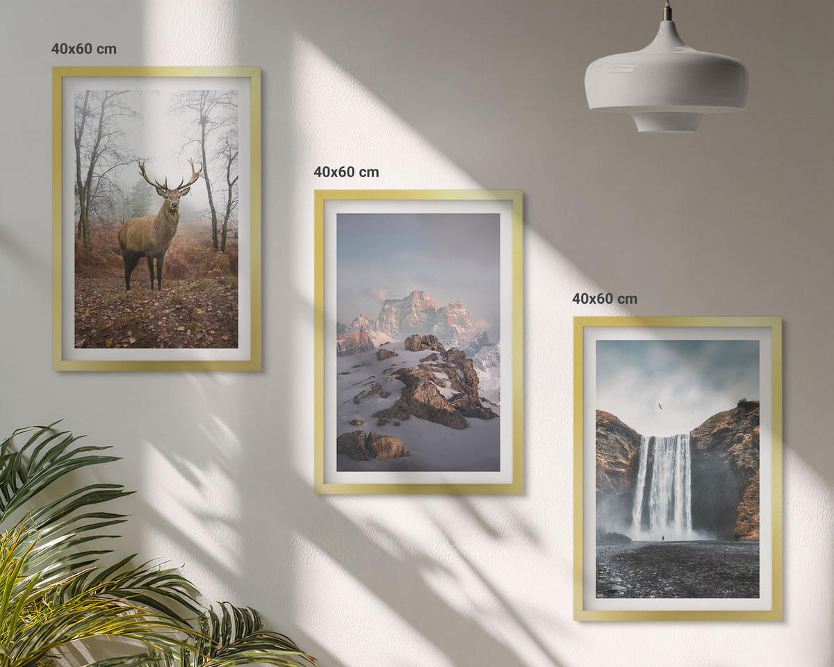 BILDER SET 3er Set - 40x60 cm Goldrahmen - Wilde Berglandschaften - Goldfarben, Kunststoff (40/60cm) - TULUP