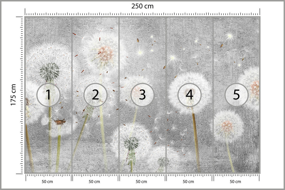 FOTOTAPETE für Schlafzimmer Retro Löwenzahn Beton Minimalistisch 250x175 - Gelb/Weiß, Papier (250/175cm) - Muralo