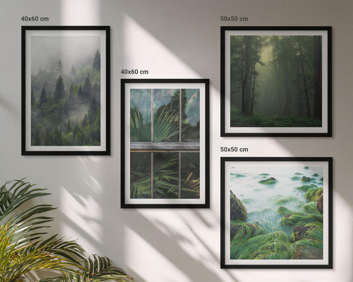 BILDER SET 4er Set - 50x50 cm & 40x60 cm Schwarzer Rahmen - Waldnebel, Fluss, Gewächshauspflanzen - Schwarz, Kunststoff (50/50cm) - TULUP