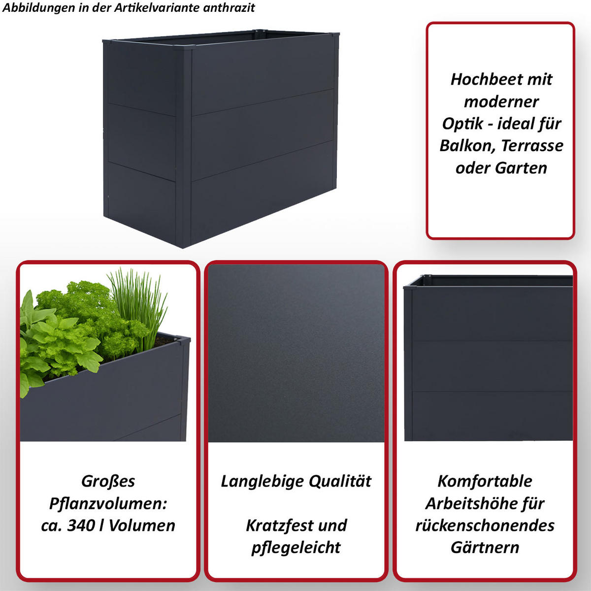 HOCHBEET Anthrazit - Anthrazit, Metall (100/77/50cm) - MCW