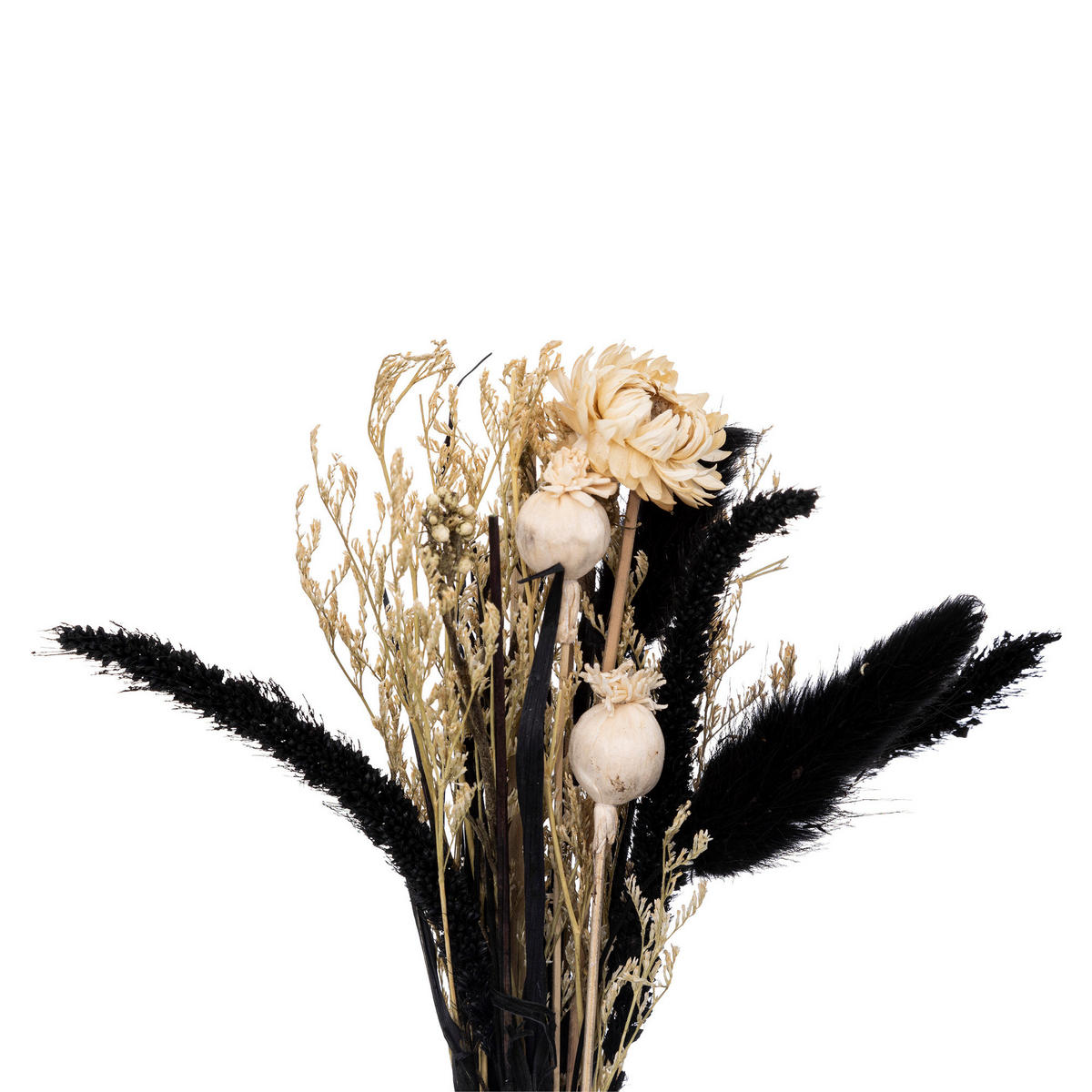 TROCKENBLUMEN in einer Vase Sublima 10/10/27 cm - Transparent, Glas (27cm) - Atmosphera Createur d´interieur