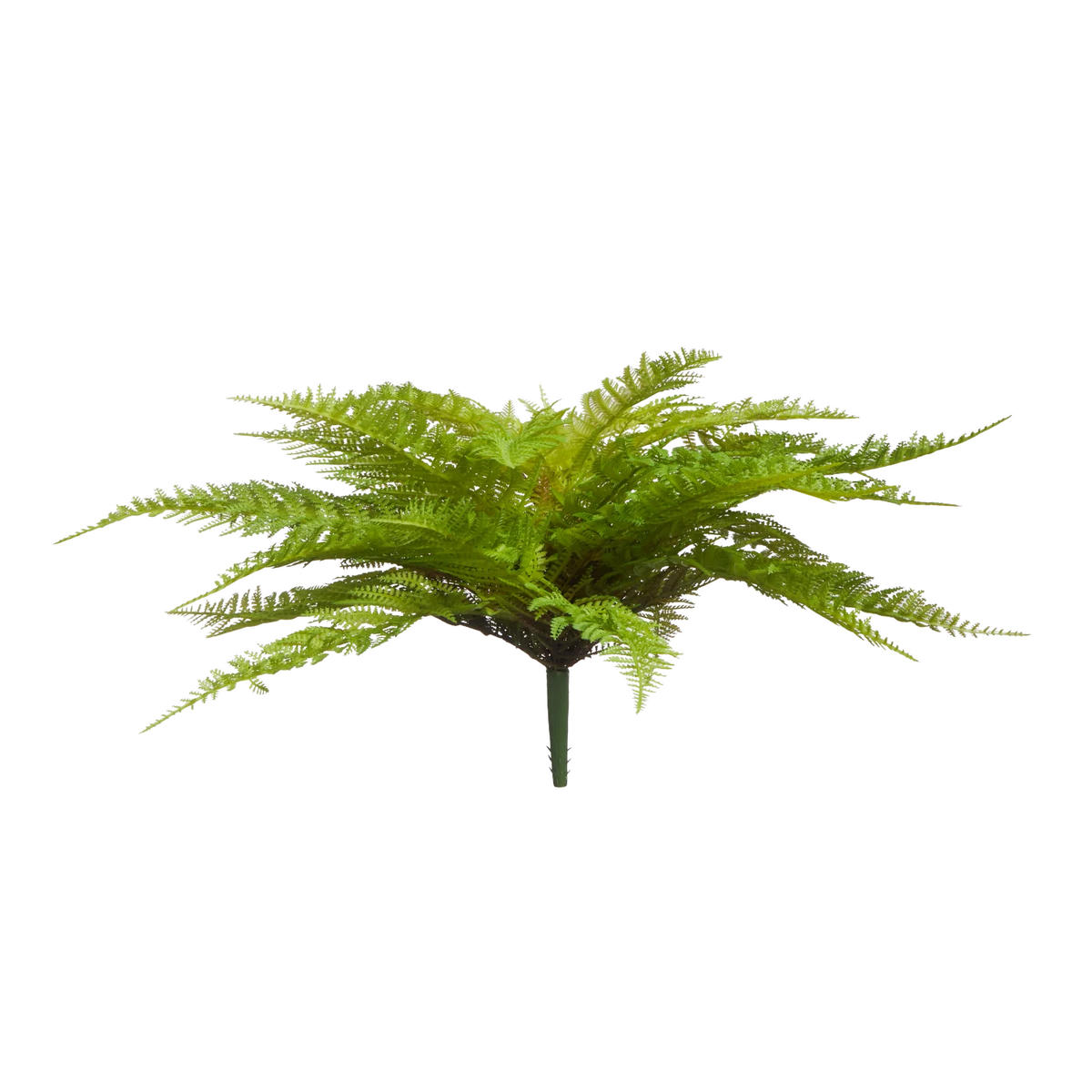 KUNSTPFLANZE Künstlicher Frauenfarn - Talos 55 cm - Grün, Kunststoff (55cm) - aplanta