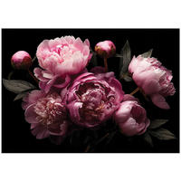 FOTOTAPETE Blumen Pfingstrosen Rosa 350x250 cm - Multicolor, Papier (350/250cm) - Wallarena