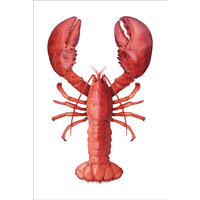 WANDTATTOO Hummer 70 x 46.5 cm - Rot, Papier (70/46.5/46.5cm) - ESTAhome