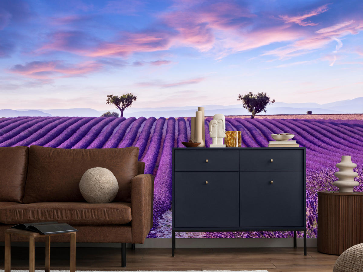 FOTOTAPETE für Küche Lavendelfeld Lila Natur Sträucher 500x350 - Blau/Violett, Papier (500/350cm) - Muralo