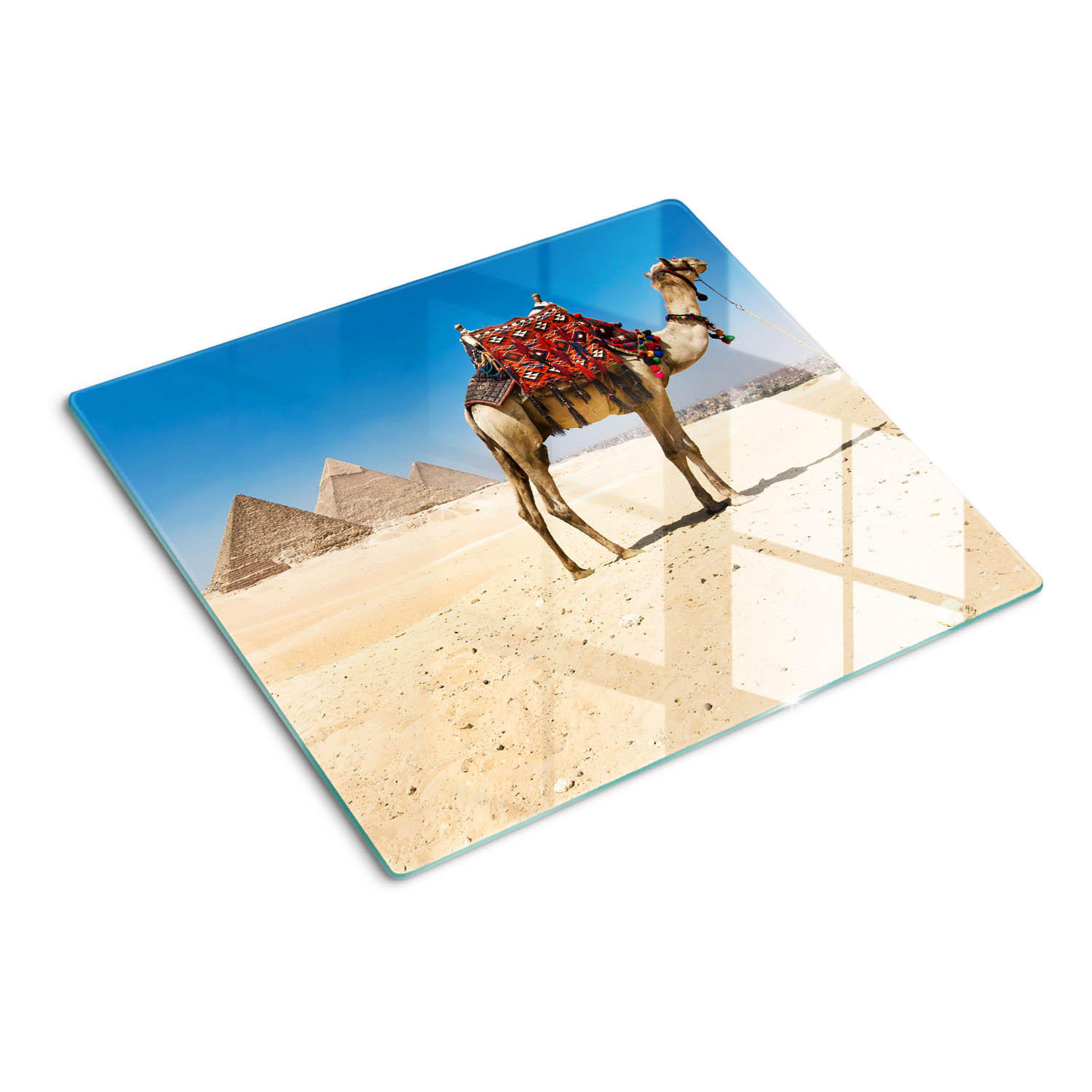 GLASPLATTE 60x52 cm Kamel in Kairo - Blau/Weiß, Glas (60/0.4/52cm) - TULUP