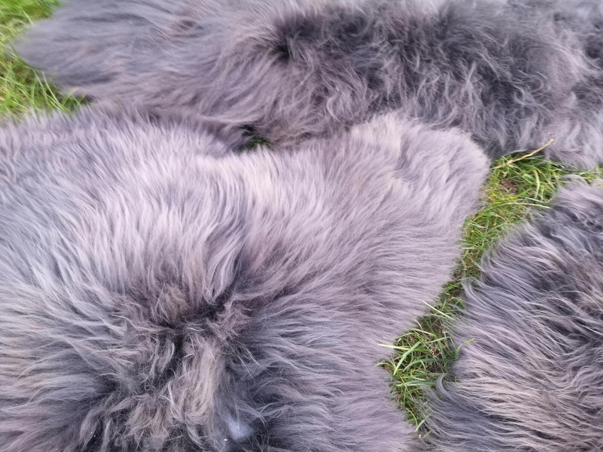 LAMMFELL Öko Schaffell grau langhaar 2. Wahl Teppich ca. 125 cm - Dunkelgrau/Grau, Fell (75/125cm) - Provellus