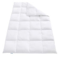 DAUNENBETTDECKE 100% DAUNE REGINA LUXUS warm 155x220cm - Weiß, Textil (155/220cm) - REGINA HOME SLEEP LIVING EST. 1967