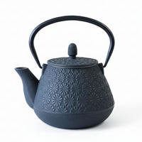 TEEKANNE Gusseisen Taki 1000 ml - Schwarz, Metall (1L) - AROMELIO