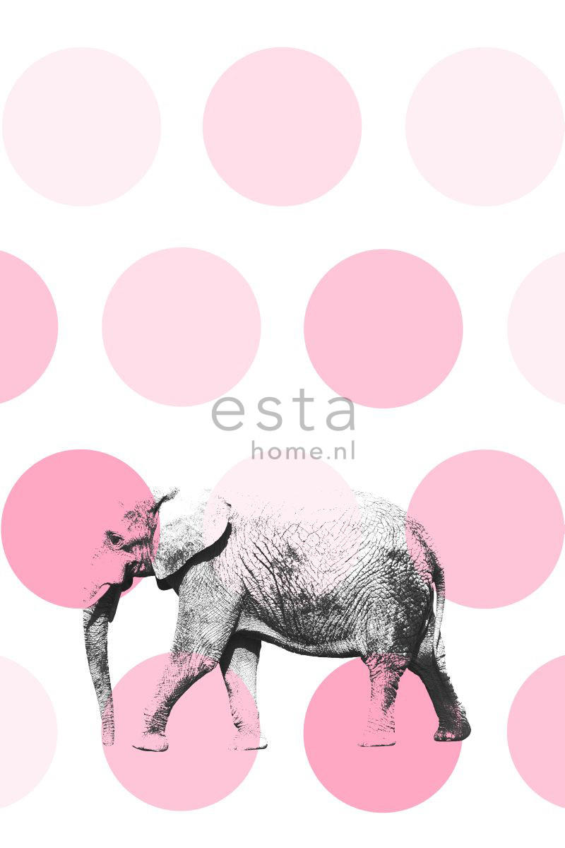 FOTOTAPETE Elefant 186 x 279 cm - Schwarz, Papier (186/279cm) - ESTAhome