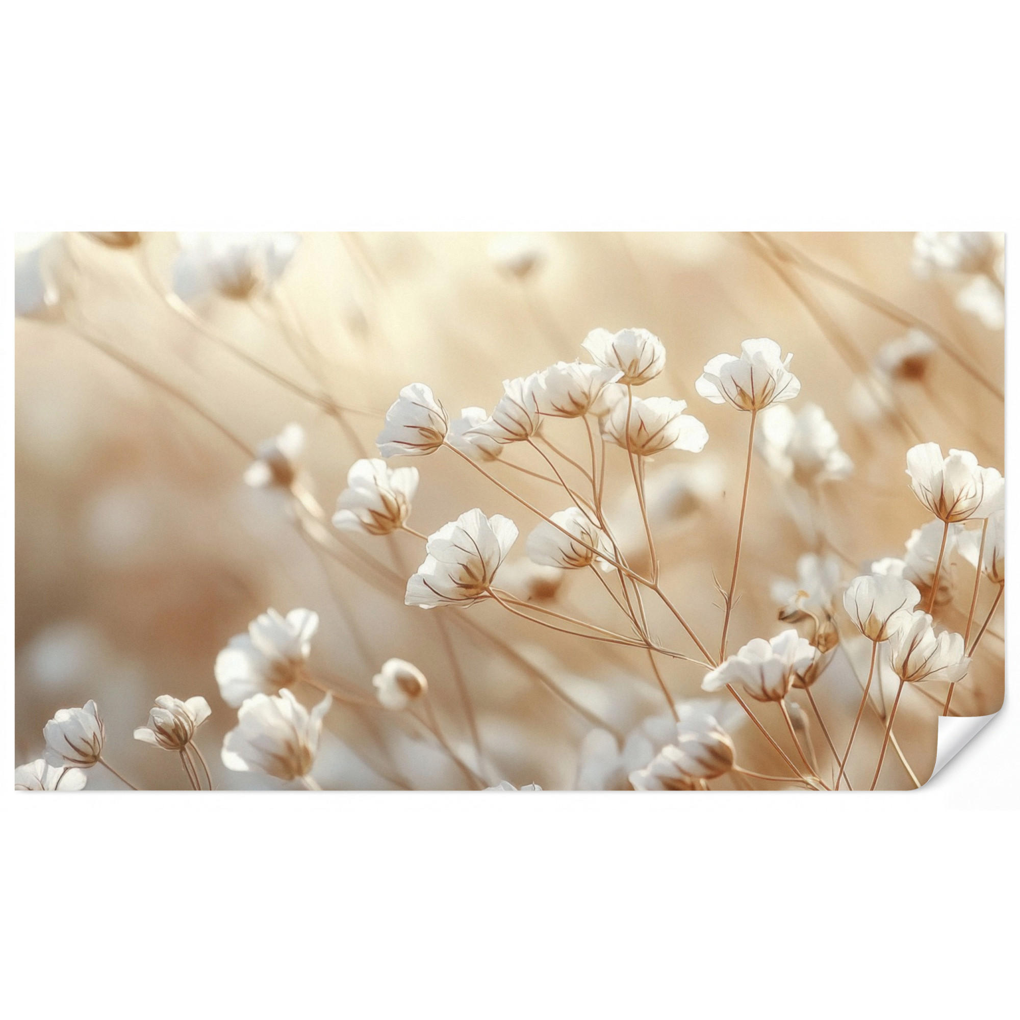 OnlyWow Tapete Creme 400x220 cm