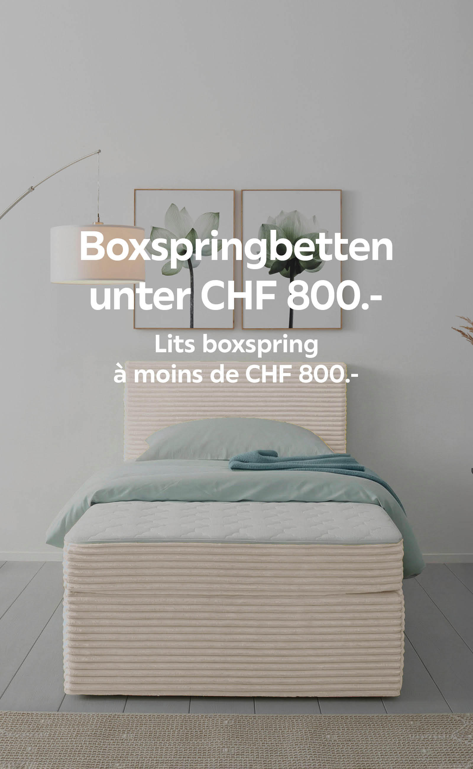 Boxspringbetten unter CHF 800 / Lits boxspring à moins de 800 CHF