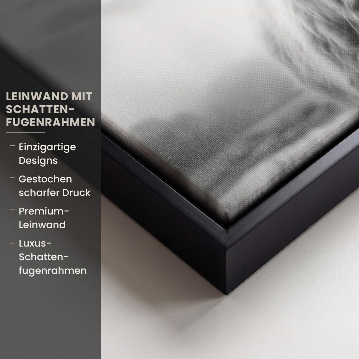LEINWAND Bilder mit Rahmen - Schottischer Highlander - Nebel - Schwarz - Weiß - 30x20 - Grau, Textil (30/20cm) - MuchoWow