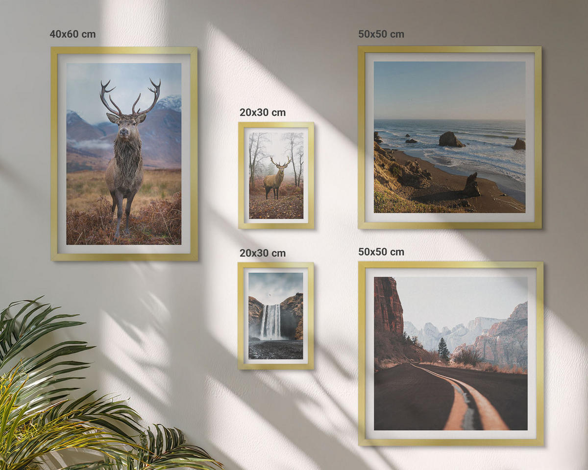 BILDER SET 5er Set - 50x50 cm & 20x30 cm & 40x60 cm Goldrahmen - Berglandschaften, Wasserfälle, Hirsche, Strände - Goldfarben, Kunststoff (40/60cm) - TULUP