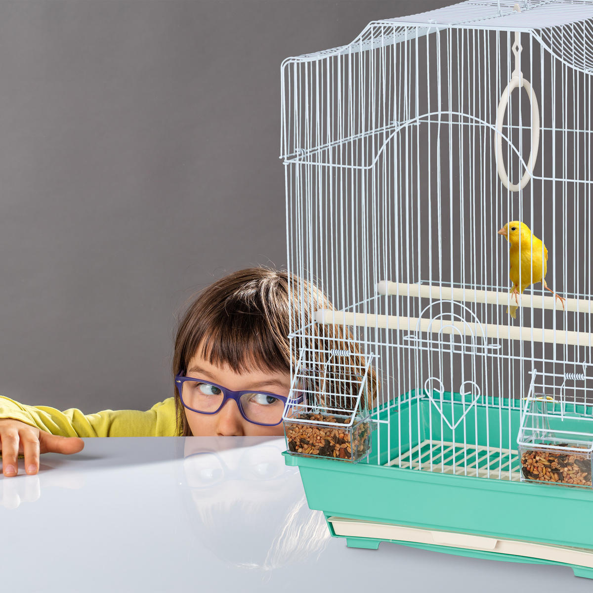 VOGELKÄFIG - Multicolor, Kunststoff/Metall (35/49.5/32cm) - Relaxdays