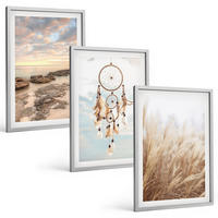 BILDER SET 3er Set - 40x60 cm Silberner Rahmen - Wolkenmeer, Traumfänger, Gras - Silberfarben, Kunststoff (40/60cm) - TULUP