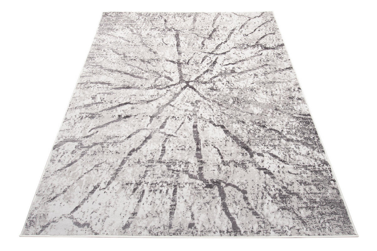 TEPPICH SKY Grau 120/170 cm - Grau, Textil (120/170cm) - Tapiso