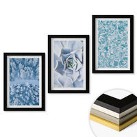 WANDBILDER 3er-Set - 20x30 cm Schwarzer Rahmen - Winterwald blaue Blume Wasser - Schwarz, Kunststoff (20/30cm) - ArtPrintCave
