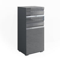 MIDISCHRANK Fredd Anthrazit 36.4 x 79 cm - Anthrazit, Holzwerkstoff (36.4/79/31cm) - Vicco