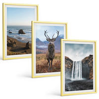 BILDER SET 3er Set - 40x60 cm Goldrahmen - Berglandschaften mit einem Wasserfall - Goldfarben, Kunststoff (40/60cm) - TULUP