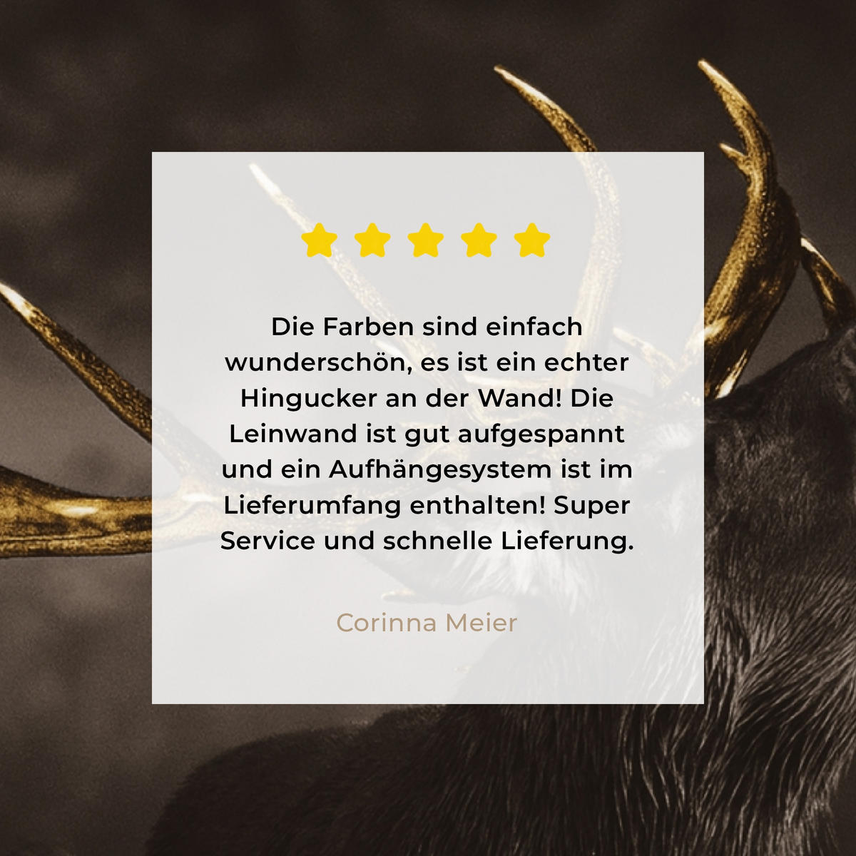 LEINWANDBILD Rotwild - Schwarz - Gold 30x40 cm - Braun, Textil (30/40cm) - MuchoWow