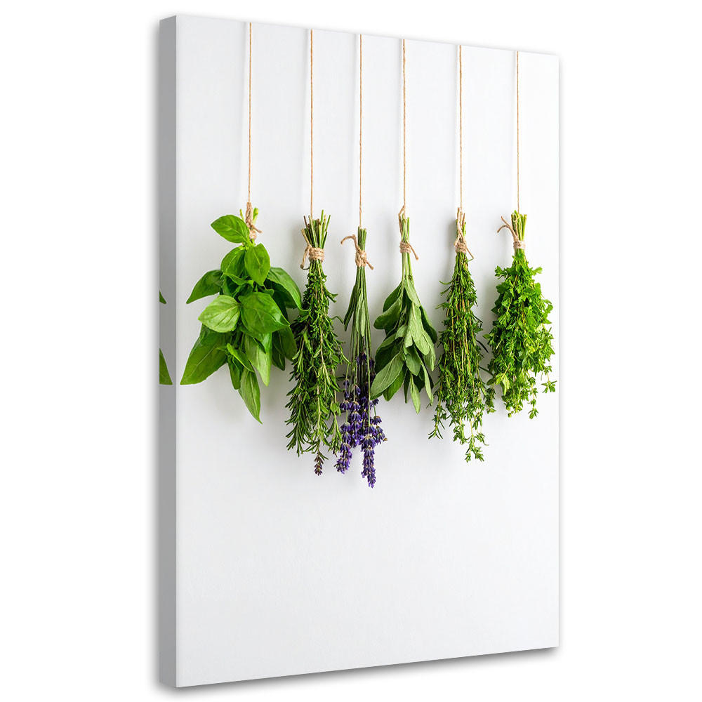 LEINWANDBILD Kräuter Gewürze 80x120cm - Grün, Textil (80/120cm) - Feeby