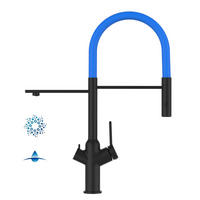 4-WEGE-KÜCHENARMATUR, Schwarz Matt und Hellblau, 2-Strahl-Brause - Schwarz, Metall (20.61/48/20.61cm) - VIZIO