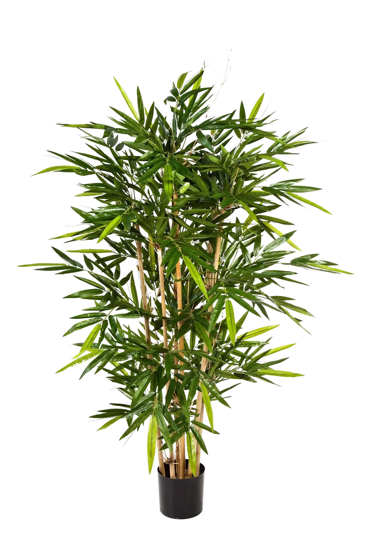 KUNSTBAUM Künstlicher Bambus - Marlene 180 cm - Grün, Kunststoff (180cm) - aplanta