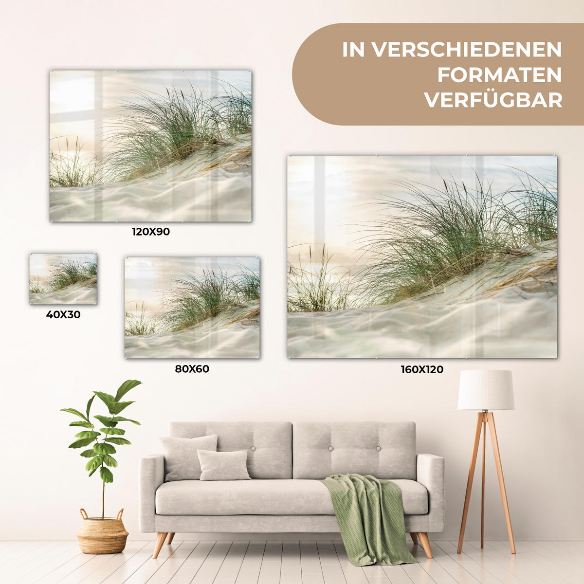 OBRAZ NA AKRYLOVOM SKLE Duny s marramovou trávou pod slnkom nemeckého národného parku Schleswig-Holsteinisches Wattenmeer 80x60 cm - krémová, sklo (80/60cm) - MuchoWow