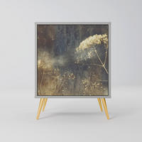 SIDEBOARD GENTLE POWER, Grau, 57,5x42x75,5 cm, Goldfarbene Metallfüße - Goldfarben/Multicolor, Holzwerkstoff/Metall (57.5/75.5/42cm) - SpaceRebels