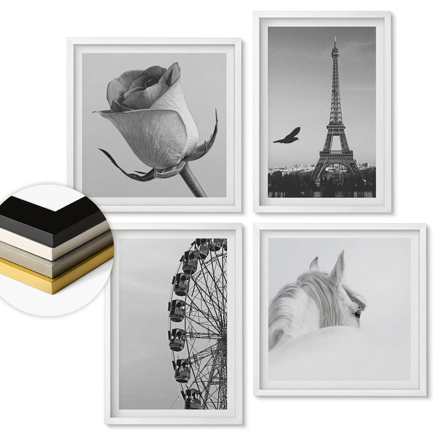 WANDBILDER 4er-Set - 50x50 cm & 40x60 cm Weißer Rahmen - Rose Eiffelturm Pferd Riesenrad S/W - Weiß, Kunststoff (50/50cm) - ArtPrintCave