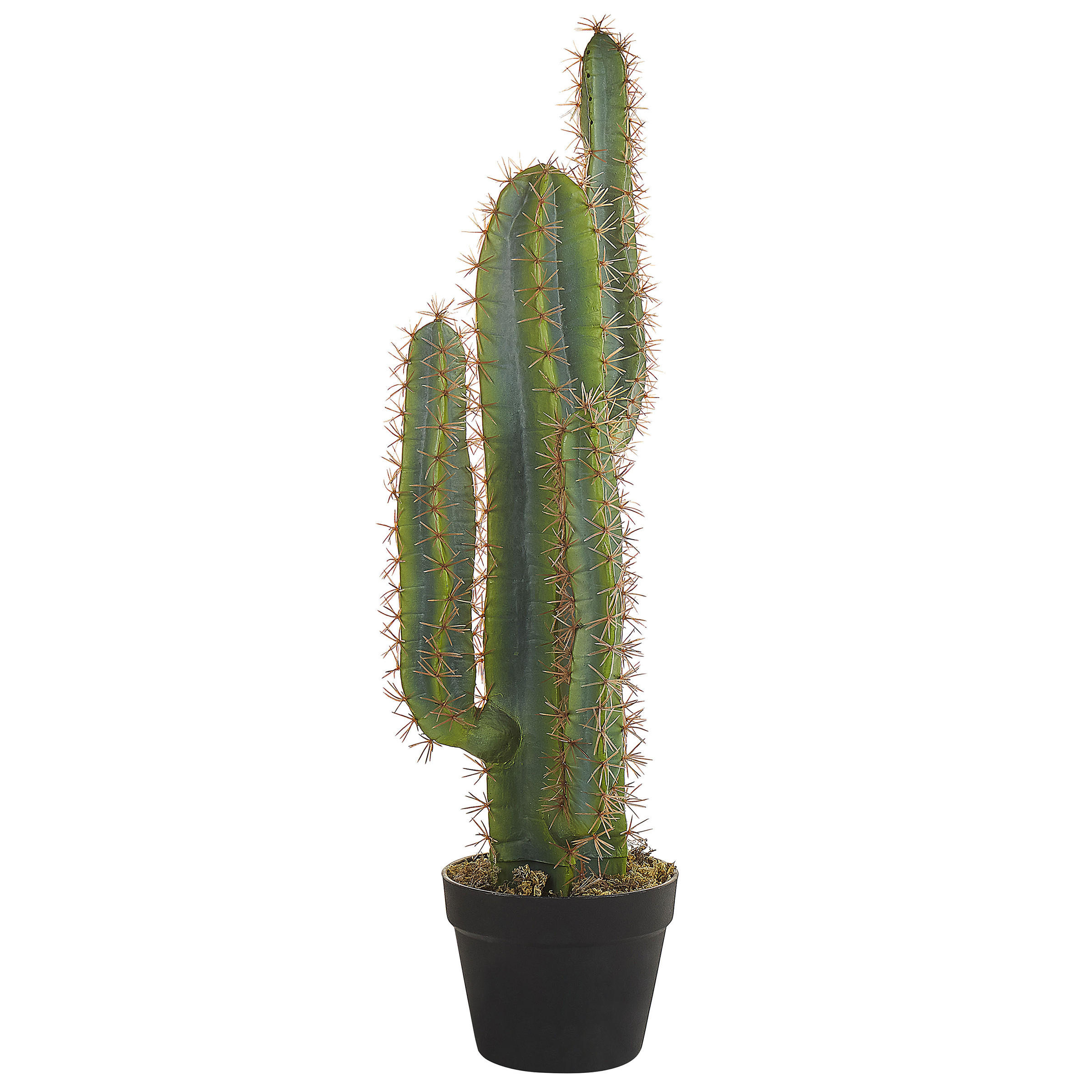 KUNSTPFLANZE Grün Cactus - Schwarz/Grün, Kunststoff (78cm) - Beliani