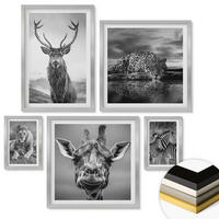 WANDBILDER 5er Set - 50x50 cm & 20x30 cm & 40x60 cm Silberner Rahmen - Wildtiere Löwe Jaguar Giraffe Zebras - Silberfarben, Kunststoff (40/60cm) - ArtPrintCave