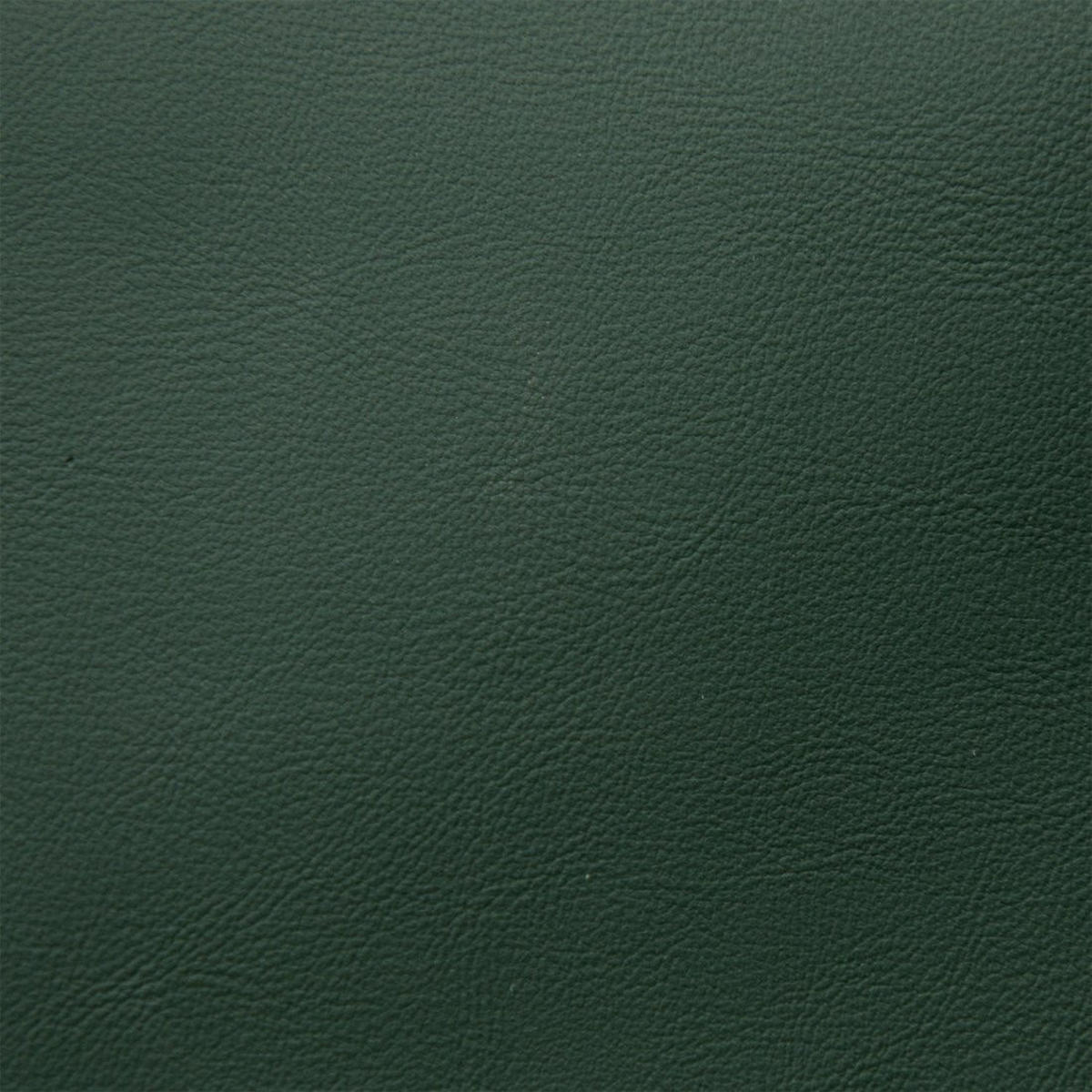 ESSZIMMERSTUHL Elia Grün 44 cm x 84 cm - Grün, Leder (44/84/52cm) - Klast Home